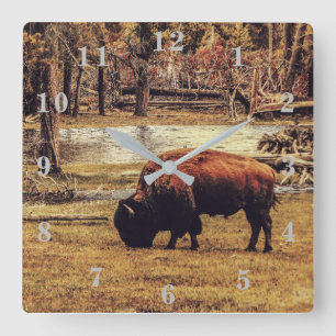 Bison Square Wall Clock