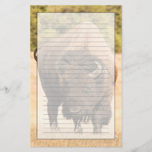 Bison Stationery