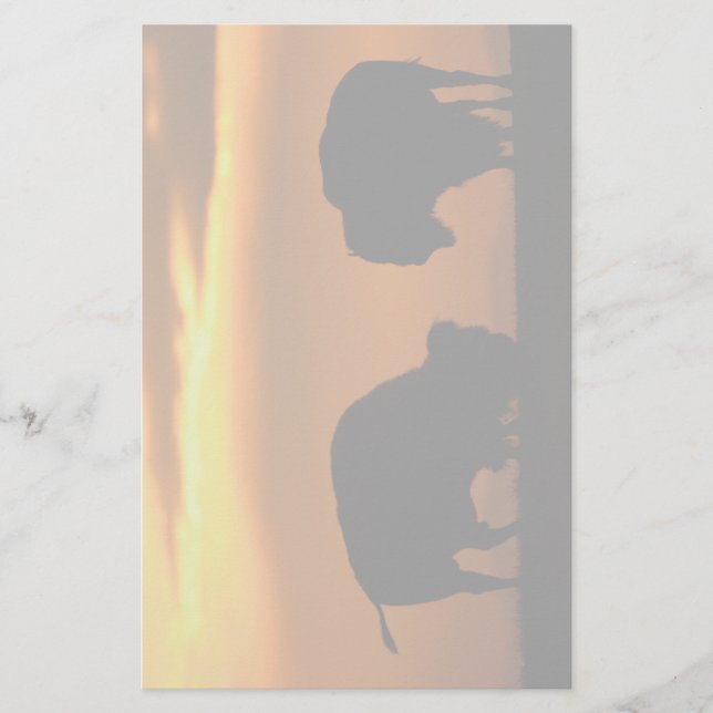 bison stationery (Front)