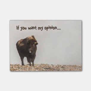Bison Sticking His Tongue Out - Humour - Funny Post-it Notes