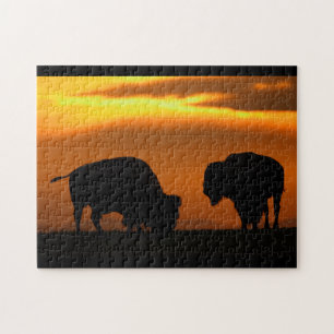 bison sunset jigsaw puzzle