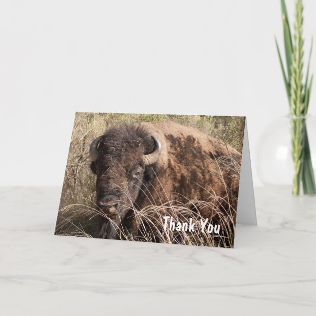 Bison thank you card (Front)