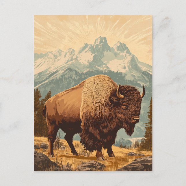 Bison Vintage  Postcard (Front)