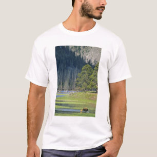 Bison with calf at Yellowstone National Park T-Shirt