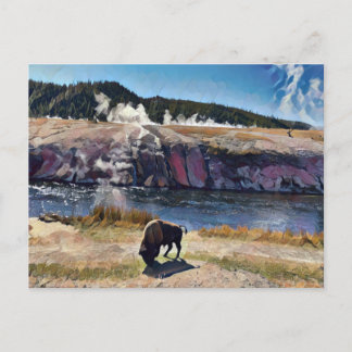 Bison Wyoming Yellowstone Wildlife Art Postcard