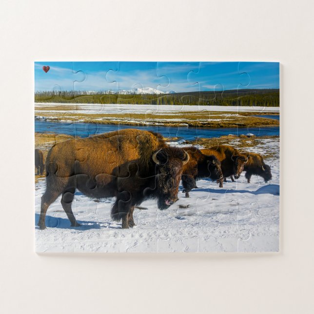 Bison Yellowstone Wyoming Jigsaw Puzzle (Horizontal)