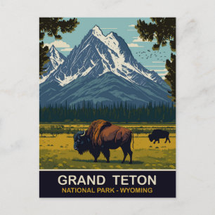 Bisons, Grand Teton Natural Park, Wyoming, Travel Postcard