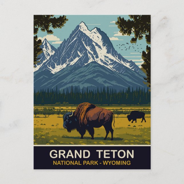 Bisons, Grand Teton Natural Park, Wyoming, Travel Postcard (Front)