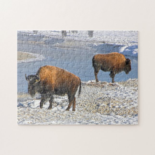 Bisson Montana. Jigsaw Puzzle (Horizontal)
