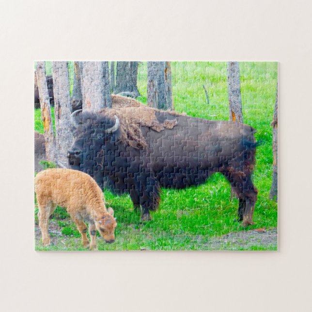 Bisson Montana. Jigsaw Puzzle (Horizontal)