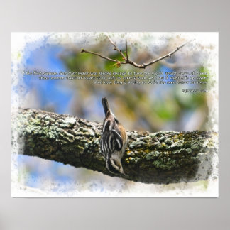 Bitd in tree Sojourner Truth quote Poster