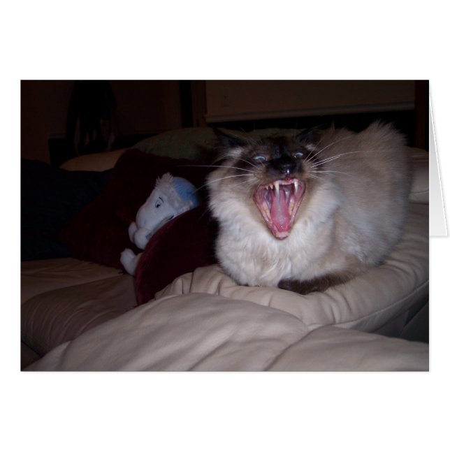 Bite ME! (Front Horizontal)