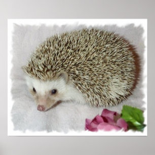 Bitsy the Hedgehog Poster