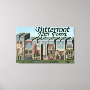 Bitterroot Nat'l Forest, Montana Canvas Print