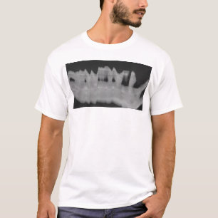 bittersweet 1 T-Shirt