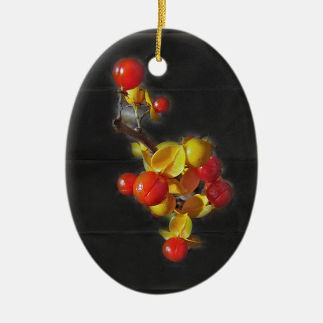 Bittersweet Berries - Autumn Beauty Ceramic Tree Decoration (Front)
