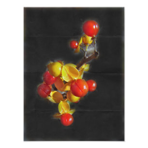 Bittersweet Berries - Autumn Beauty Photo Print