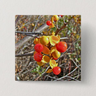 Bittersweet Vine Berries Items 15 Cm Square Badge