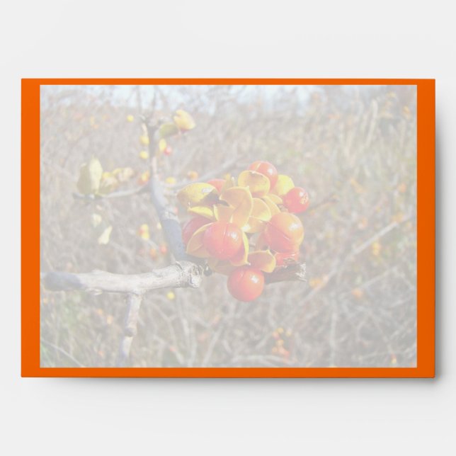 Bittersweet Vine Berries Items Envelopes (Front)