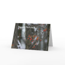 Bittersweet Winter Holiday Card