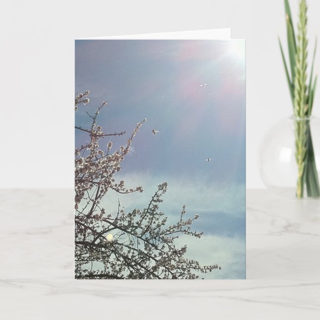 Bizzy Beezzzzz Card (Front)