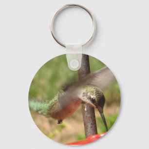 BK- Hummingbird Keychain