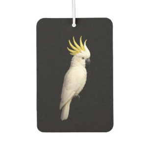 Black 4 Luxe Car Air Fresheners, Crested Cockatoo Freshener