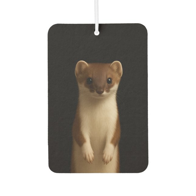 Black 4 Luxe Car Air Fresheners, Elegant Weasel Car Air Freshener (Front)