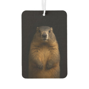 Black 4 Luxe Car Air Fresheners, Fluffy Marmot Car Air Freshener