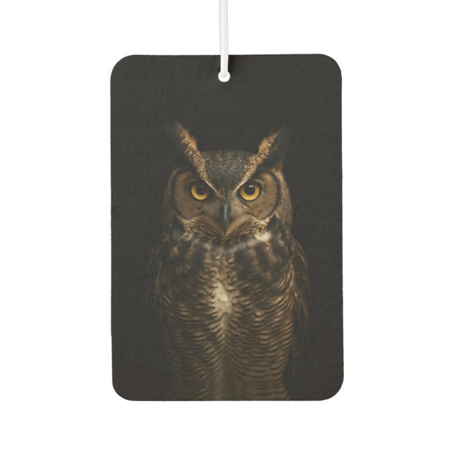 Black 4 Luxe Car Air Fresheners, Golden Eye Owl Freshener (Front)