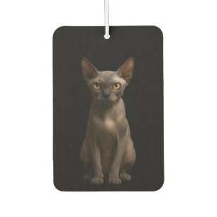 Black 4 Luxe Car Air Fresheners, Sphynx Cat Car Air Freshener