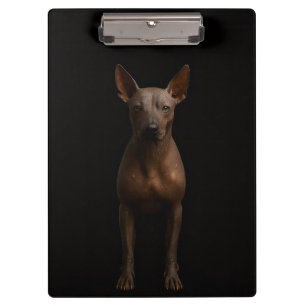 Black 4 Luxe Clipboard, Argentina Pila Dog Clipboard