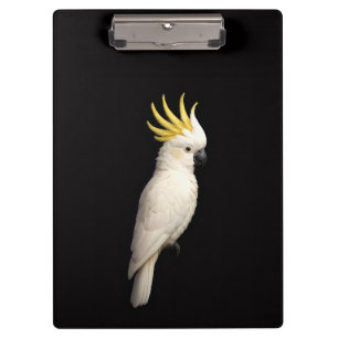 Black 4 Luxe Clipboard, Sulphur Crested Cockatoo Clipboard