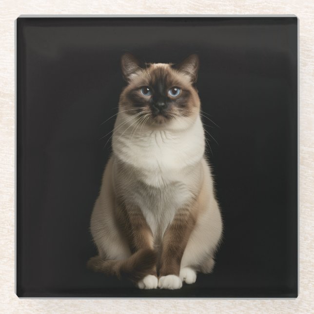 Black 4 Luxe Glass coaster, Birmanese Cat Glass Coaster (Front)