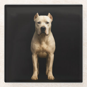 Black 4 Luxe Glass coaster, Bold Dogo Argentino Coaster