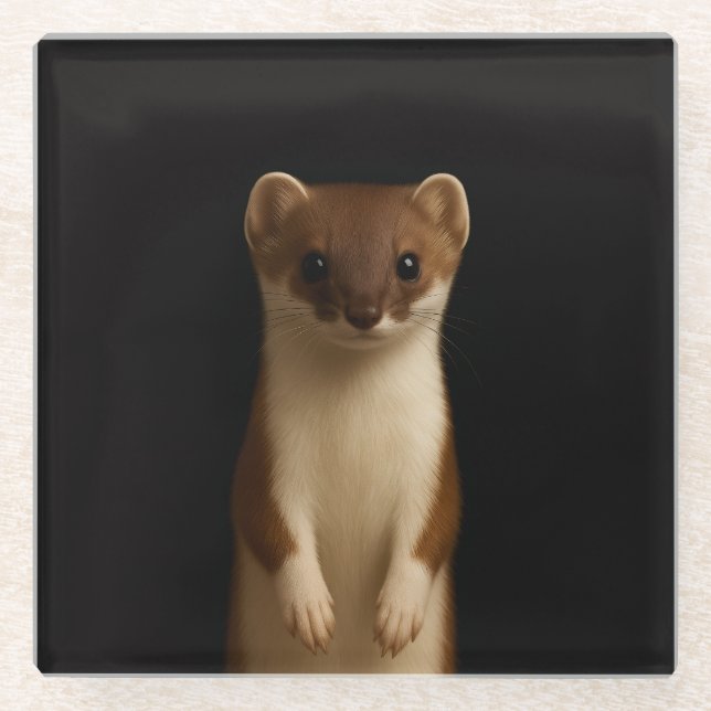 Black 4 Luxe Glass coaster, Elegant Weasel Coaster (Front)