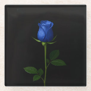Black 4 Luxe Glass coaster, Midnight Blue Rose Coaster
