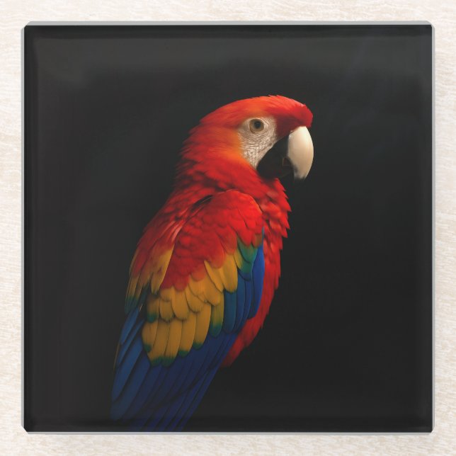 Black 4 Luxe Glass coaster, Scarlet Parrot Coaster (Front)