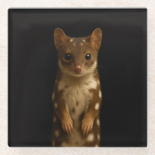 Black 4 Luxe Glass coaster, Sweet Quoll Coaster
