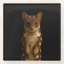 Black 4 Luxe Glass coaster, Sweet Quoll