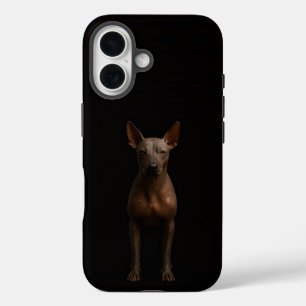 Black 4 Luxe iPhone 16 Mate, Argentinian Pila Dog Case