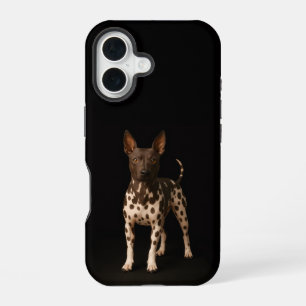Black 4 Luxe iPhone 16 Mate, Hairless Terrier Dog Case