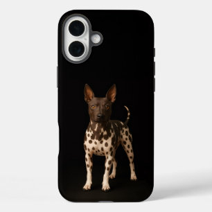 Black 4 Luxe iPhone 16 Plus, Hairless Terrier Dog iPhone 16 Plus Case