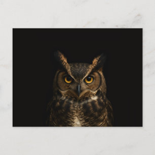 Black 4 Luxe Postcard with Golden Eye Owl