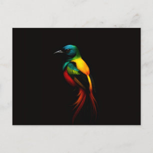 Black 4 Luxe Postcard with Tropical Rainbow Bird