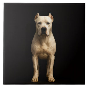 Black 4 Luxe Tile with Bold Dogo Argentino