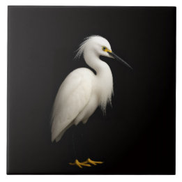 Black 4 Luxe Tile with Elegant Snowy Egret