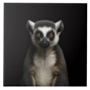 Black 4 Luxe Tile with Gentle Lemur