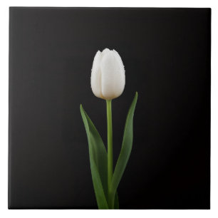Black 4 Luxe Tile with Pearl White Tulip