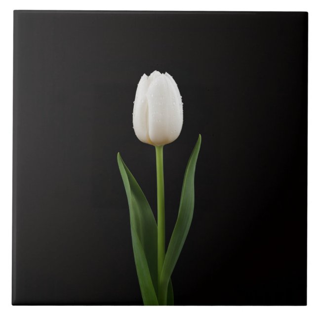 Black 4 Luxe Tile with Pearl White Tulip (Front)